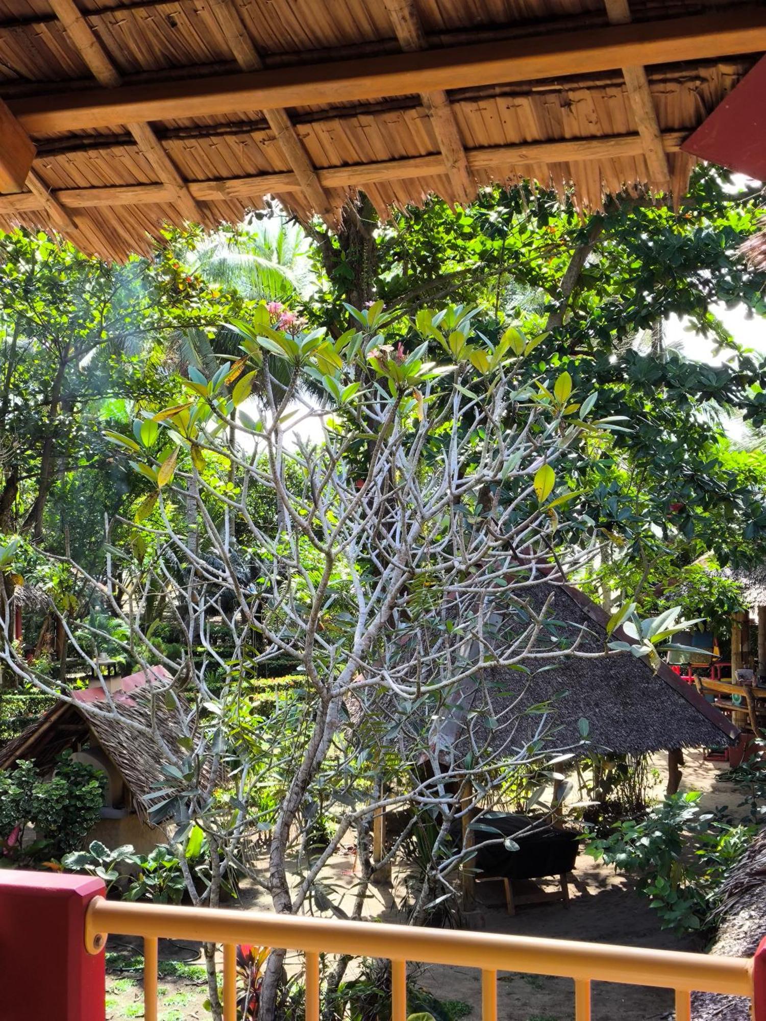 Sulu Sunset Beach Resort Nauhang Extérieur photo